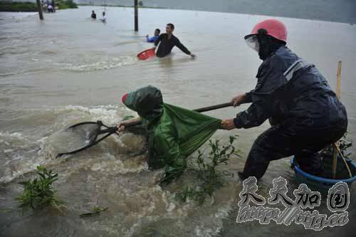 福建宁德65万人受灾 逾3万公顷农田受损(图)