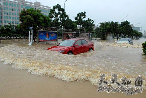 福建宁德65万人受灾 逾3万公顷农田受损(图)