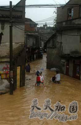 福建宁德65万人受灾 逾3万公顷农田受损(图)