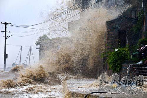 ��ͼ���㽭��������־���