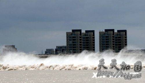 ��ͼ��&ldquo;Ī����&rdquo;����Ǯ����