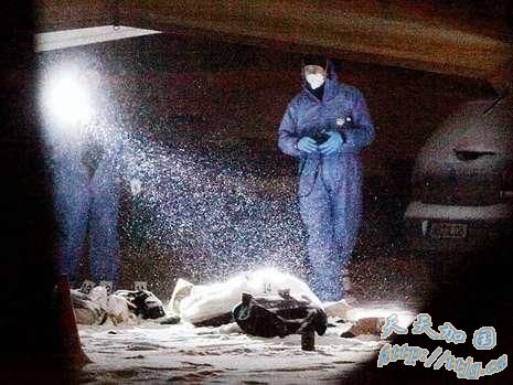 ���˵�ʬ�嵹��ѩ���