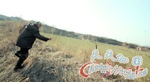 还原曹操高陵10年发掘史(组图)