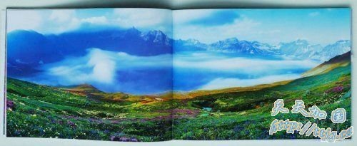 ������ (����ԭ�� �������ѷ���)