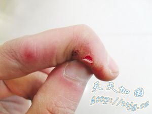 ����������ӳ��������������Ź��(ͼ)