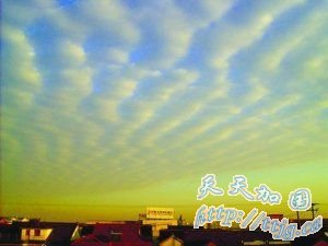 ���ս�������&ldquo;����&rdquo; ר�ҳƷǵ���ǰ��(ͼ)