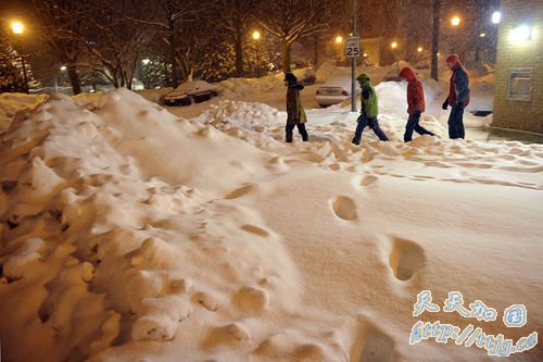 �����������ձ�ѩ���µĻ�ѩ��δ�������һ�ֱ�ѩ��������ʱ��2��9��Ϯ������ѩ�������������˳�����һ�ֱ�ѩ��������ѩԤ������ʣ�޼�