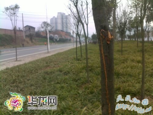 ����һ�γ����������е� ��һ��ĸŮ����(��ͼ)