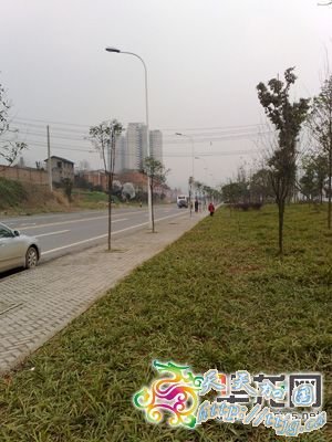 ����һ�γ����������е� ��һ��ĸŮ����(��ͼ)