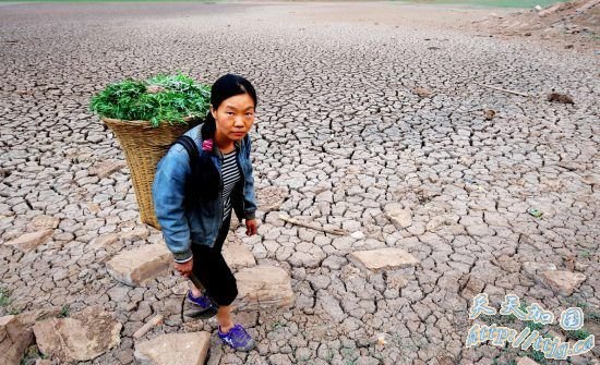 西南五省旱情持续加重 两千万人饮水困难(组图)
