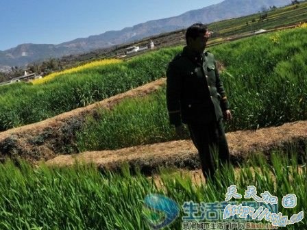 ����Ϊ����ﲡ����11���к���������(ͼ)