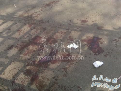 ������ƽ����У�ſڿ�ɱСѧ����8��5��(��ͼ)