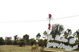 �ϻ���������ߡ�