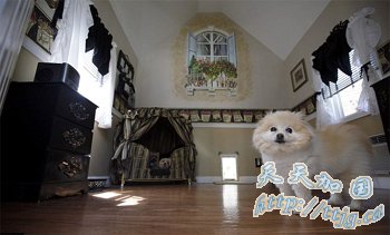 ����Ů�ӿ���2����ԪΪ���ﹷ�����լ