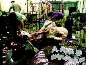 佛山高明肉联厂竟售注水牛肉(图)