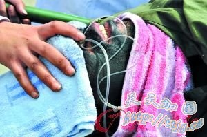 ��������8���ؾ���������Ƥ������ˮ(ͼ)