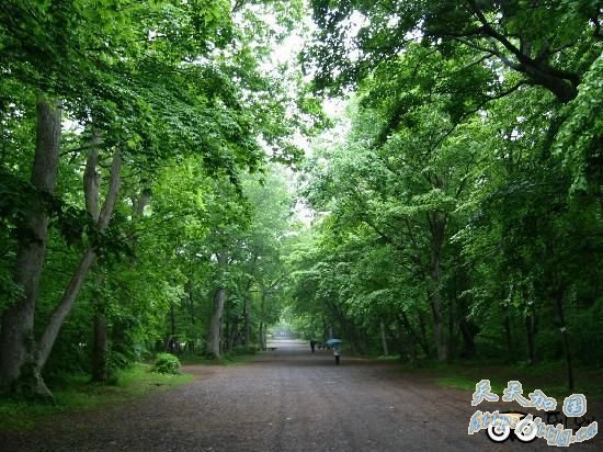 �ձ������������������й���ԣ�ײ�����(ͼ)