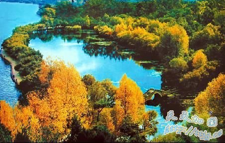 2006�괺�ڣ��й�������ί�����������������ĺ��꿨�������������˺�������ƽ��ͼ