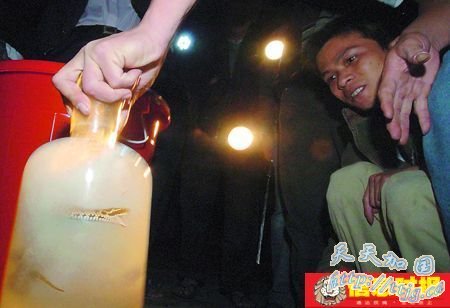 蛇贩为报复妇女主任投放300多条毒蛇(组图)