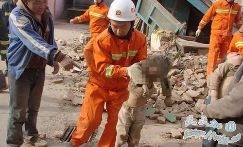 �ຣ������������115��ʦ������