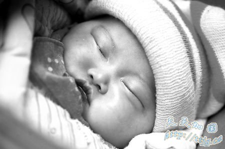 ŮӤֻ����΢��ð�⸸ĸ����(ͼ)