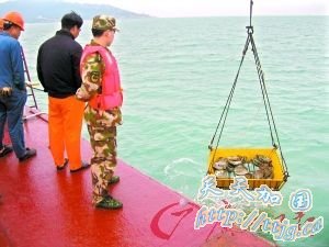 �ϰ�1�������֤��ŷó������֮ǰ���ѷ���