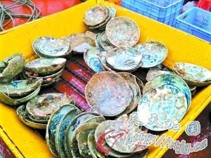 �ϰ�1�������֤��ŷó������֮ǰ���ѷ���