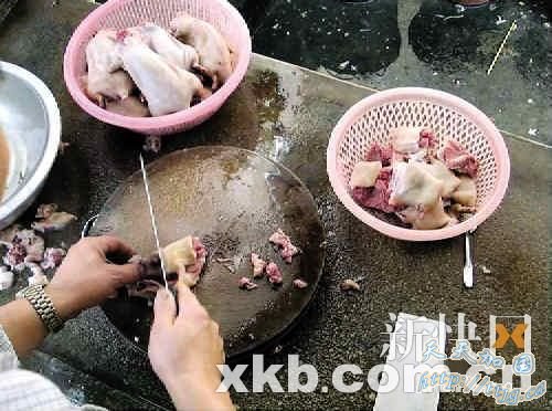 ���ŵ��������� ��