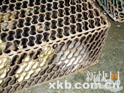 ���ŵ��������� ��