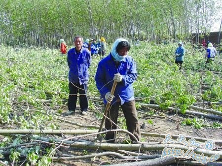 �����Ķ��ľ�����쵼���� ��ҵ����ֹ����