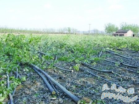 �����Ķ��ľ�����쵼���� ��ҵ����ֹ����