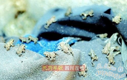 �ɶ�������