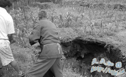 �Ĵ��˱������������43�� �����������ת��