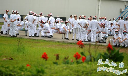 �����ڻ��������˳����չ�ȫ��ͣ��