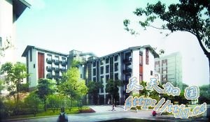 �����׸����Ҽ����ϵ����� �������Ǽ�����Ժ(ͼ)