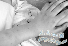 ��һŮ���������ٸ����� ����ʮ������ΧŹ(ͼ)