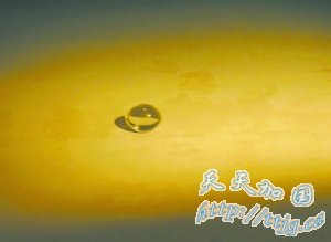 �ܲ������� ����������(��ͼ)