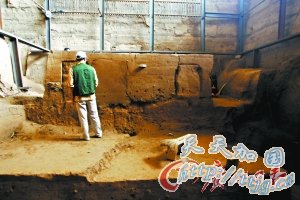 �ܲ������� ����������(��ͼ)