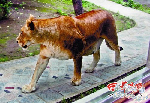 ����Ұ������԰�ڸ��������ϻ�Ϯ�� 1��1��