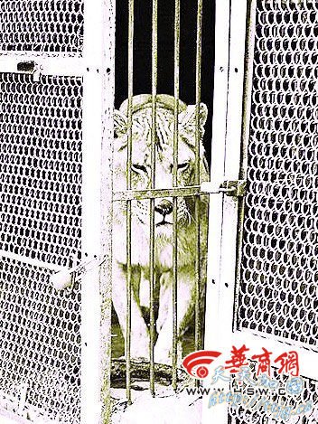 ����Ұ������԰�ڸ��������ϻ�Ϯ�� 1��1��