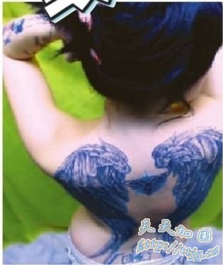 女大学生纹身23次应聘被拒
为时尚付出代价(图)