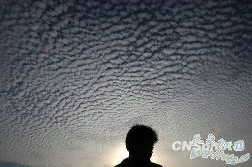 �й��󲿸����������������� Ԥ������