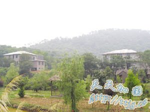 ˮ��̰ӱ��Ƶͽ���������������(ͼ)