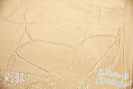 Angelababyд���߽������Ӧ�����������Ը�