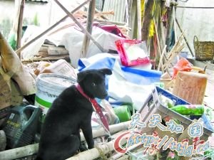 ����Ůͯ��������ĸ���� ��������Ű��(ͼ)