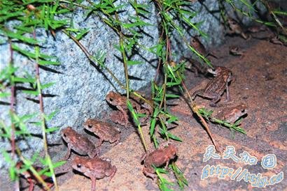 �ൺǧֻ���ᴩ��·ð��Ǩ�� ר�ҳ�����(ͼ)