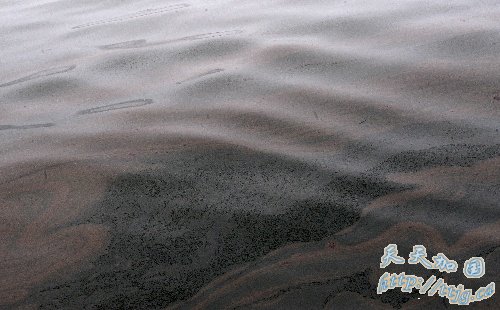 �������͹ܱ�ը��Ⱦ50ƽ�����ﺣ��