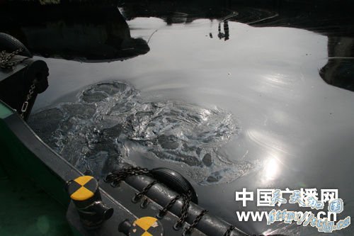 �����¸��ڵ�����