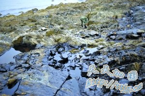 1500�����뺣������10����(��ͼ)