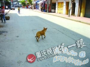 ��Ȯ����������ʳҹ���ؿ�լ ������������(ͼ)